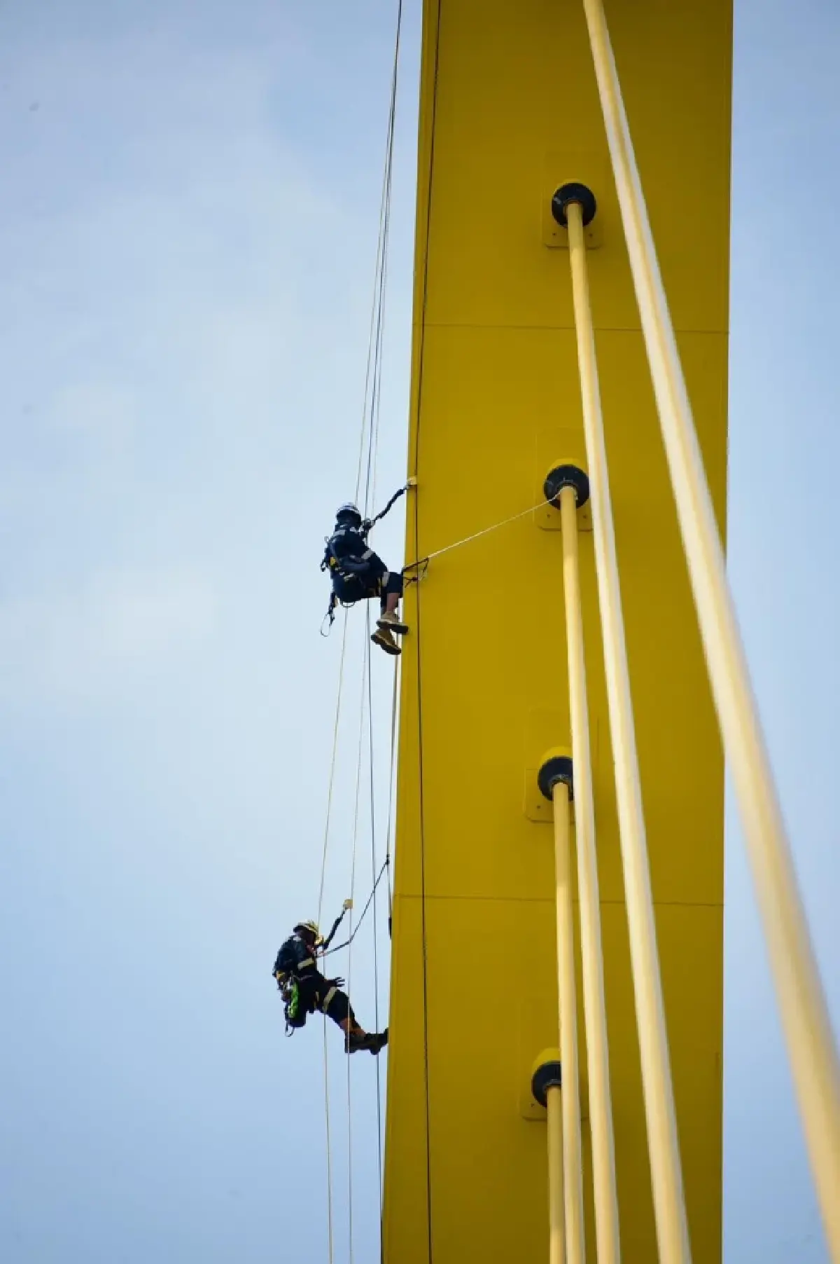 กทพ. ใช้หุ่นยนต์ RMI ตรวจสอบสายเคเบิลสะพานพระราม 9 ก่อนซ่อมใหญ่