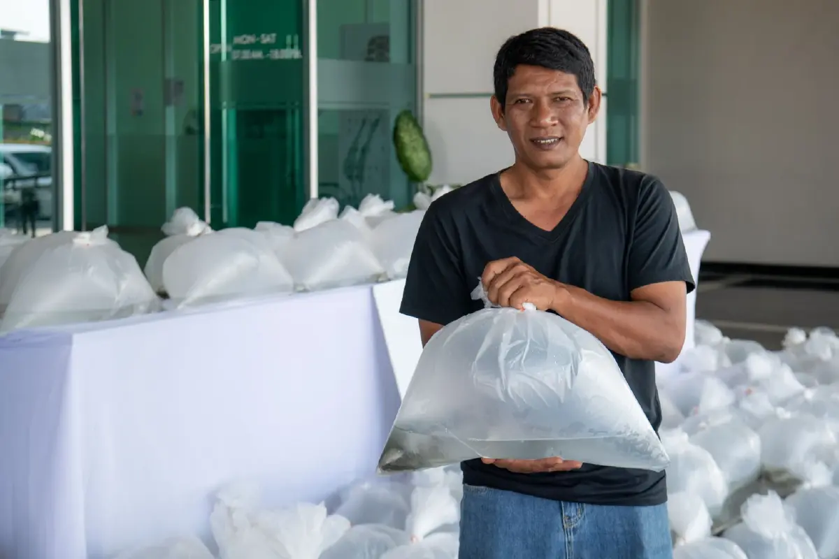 มูลนิธิซีพีผนึกเครือข่ายฟื้น 'ปลากะพง 3 น้ำ GI' กอบกู้อาชีพทะเลสาบสงขลา