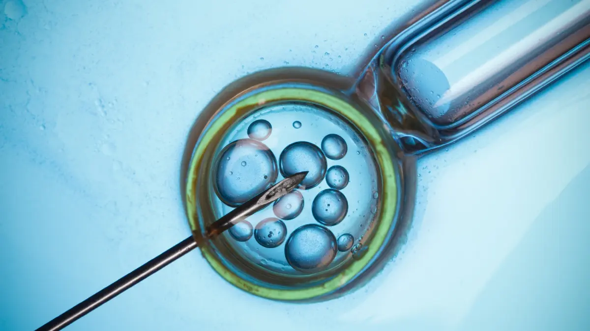 WHO เรียกร้องโลกครั้งแรก! การรักษา 'มีบุตรยาก' ต้องไม่แพง