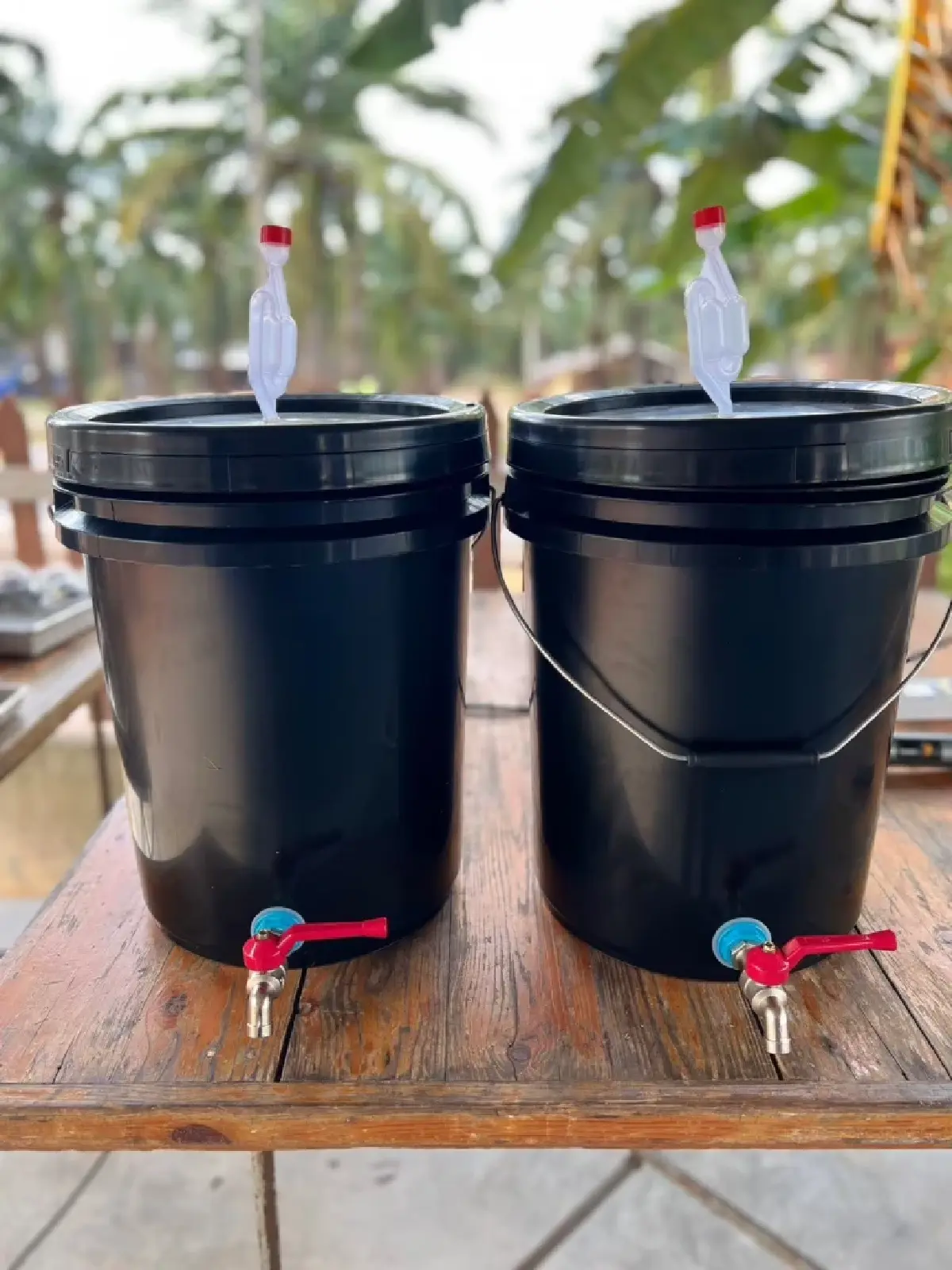 ถังหมักกาแฟ