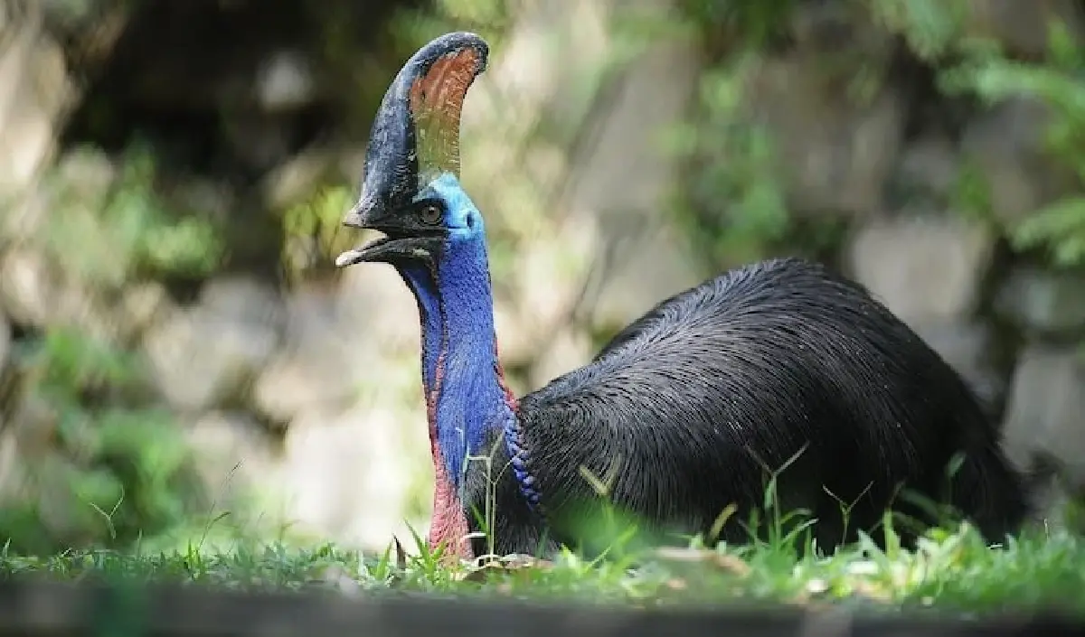 LAARMA เสาสัญญาณ AI ป้องกันการชนสัตว์ป่า ตรวจจับแม่นยำถึง 97%