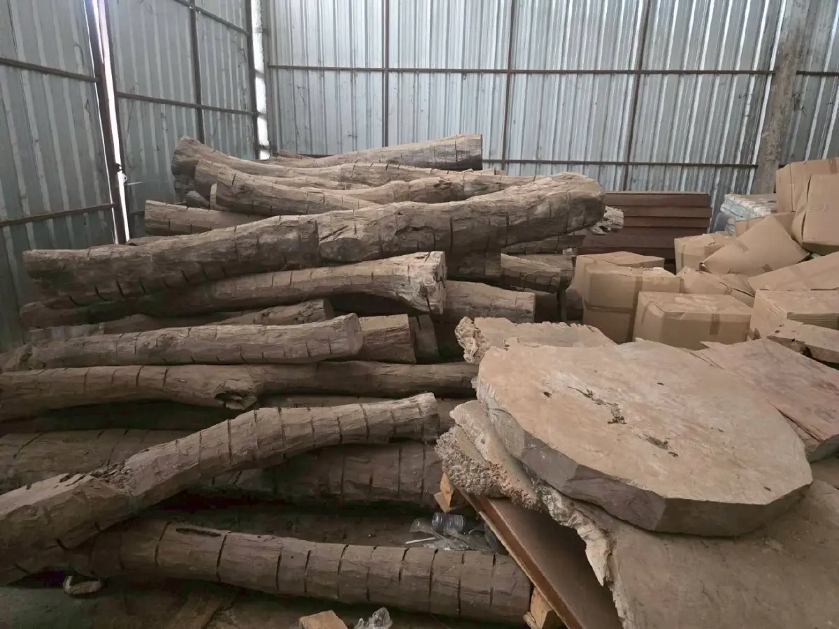 ยึดไม้เถื่อน! นายทุนจีน พบ ลักลอบตัดจากเขตอุทยาน มูลค่ารวม 300 ล้าน