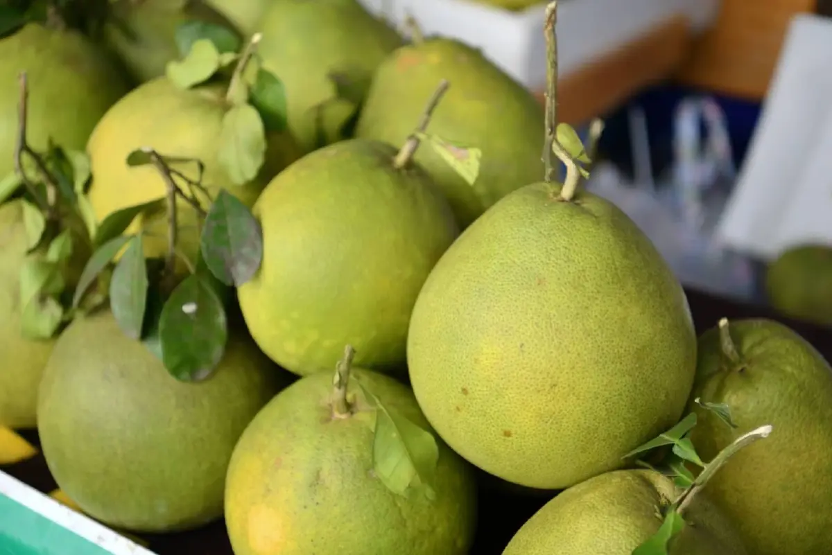 ยก 4 สินค้า GI ท้องถิ่น ติดขอบสนาม “ซีเกมส์” หนุนเศรษฐกิจฐานราก