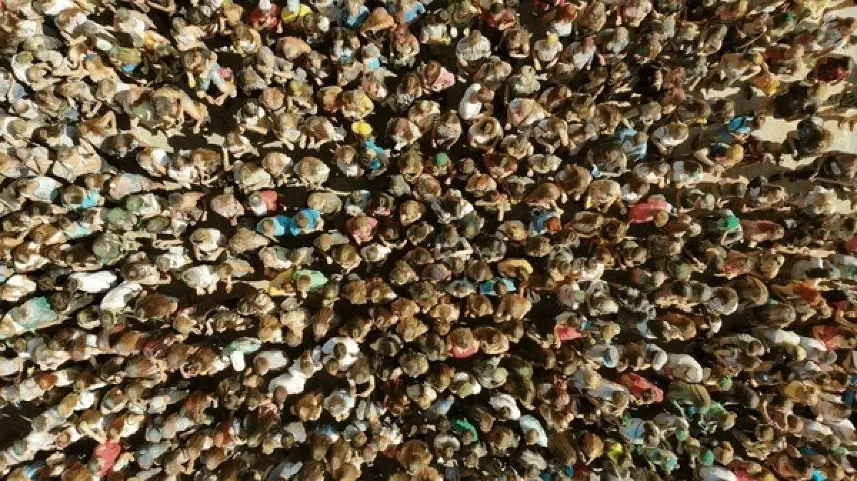 AI พยากรณ์ฝูงชนจากเกาหลี ป้องกันโศกนาฎกรรมอิแทวอนซ้ำรอย