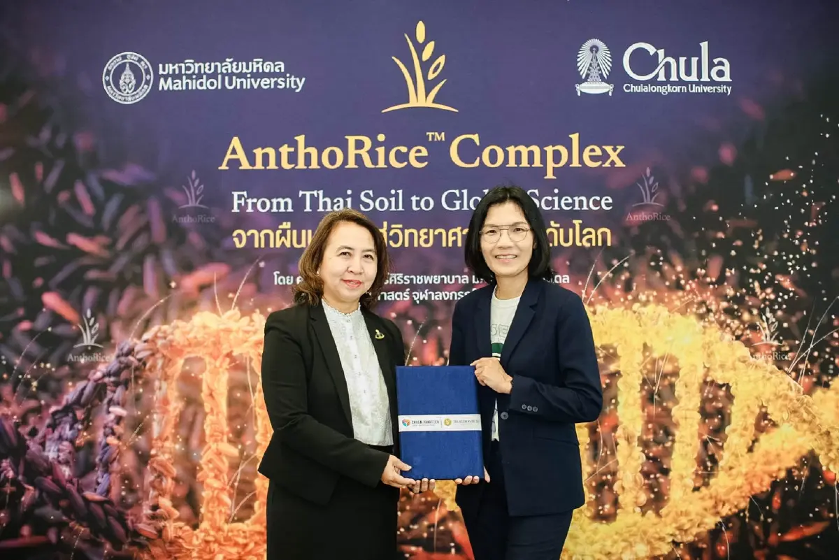 จุฬาฯ-มหิดล ผนึกนวัตกรรม AnthoRice™ แก้ผมร่วง-ผมขาวที่ระดับเซลล์