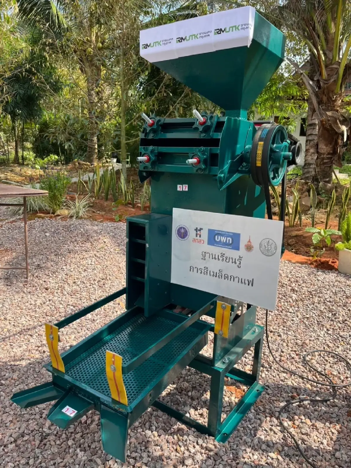 หนุนชุมพรปั้น “มหานครโรบัสต้า” ดันกาแฟไทยสุดคูลสู่เวทีโลก