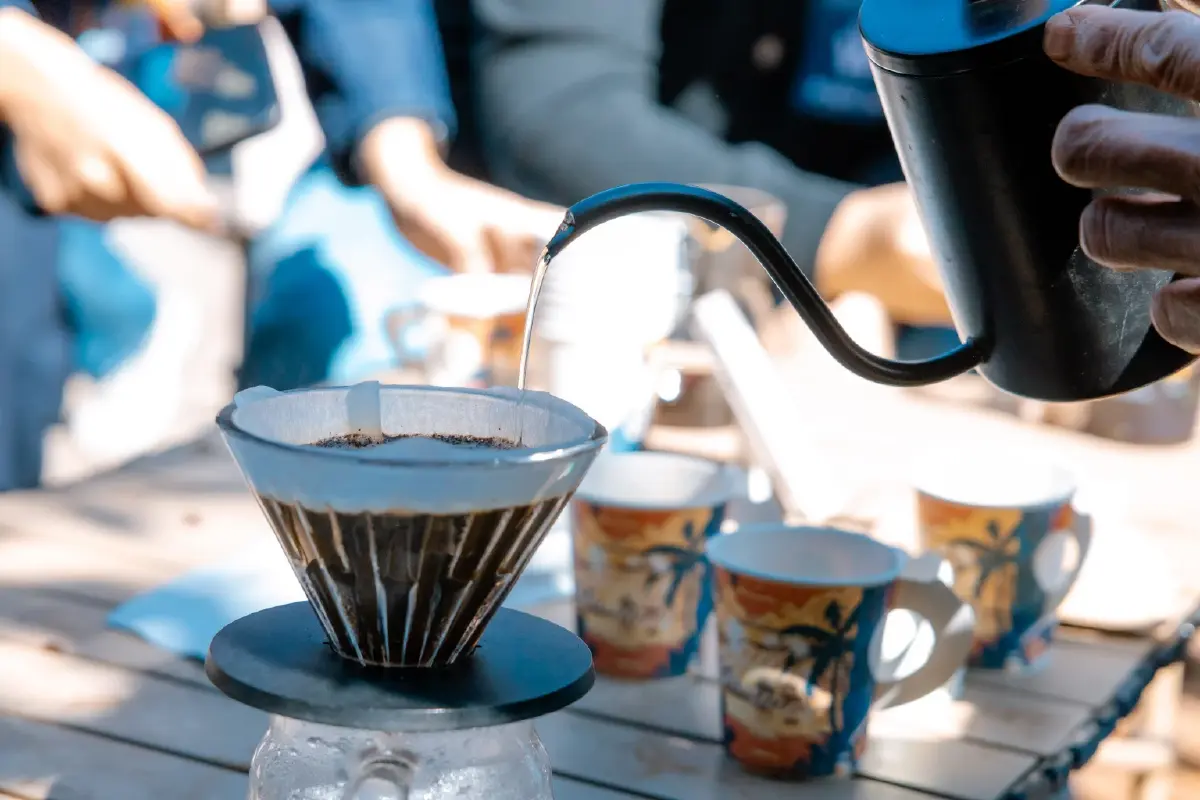 กาแฟเปลี่ยนชีวิต OR จับมือปางขอน–ผาลั้ง ปั้นต้นแบบกาแฟยั่งยืนของไทย