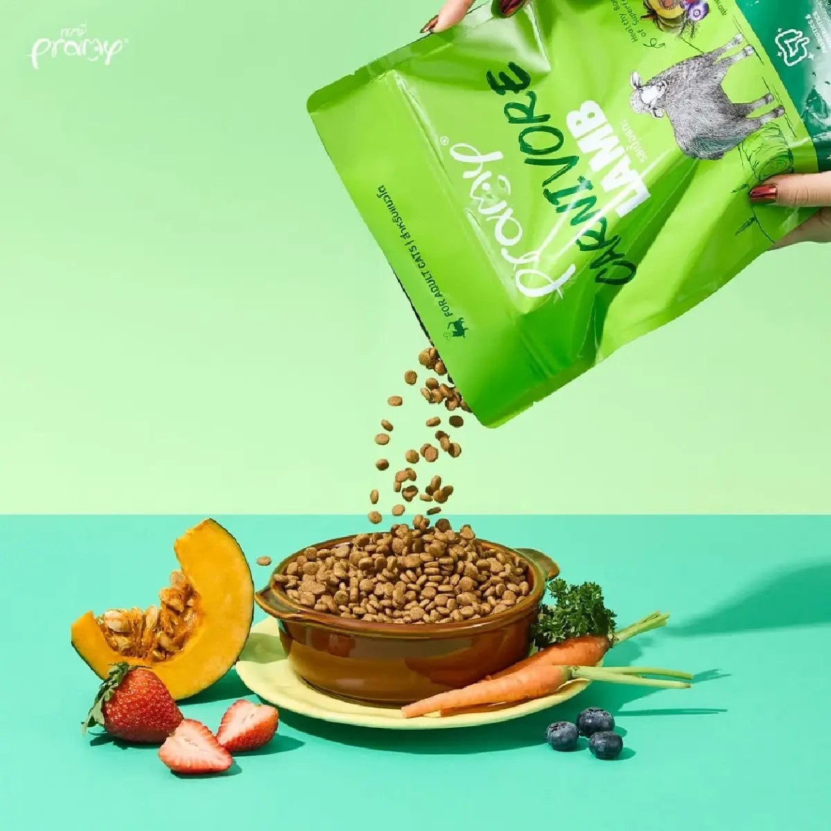 อาหารแมว "PRAMY" จากโนเนมสู่พันล้านเขย่าตลาดอาหารสัตว์เลี้ยง