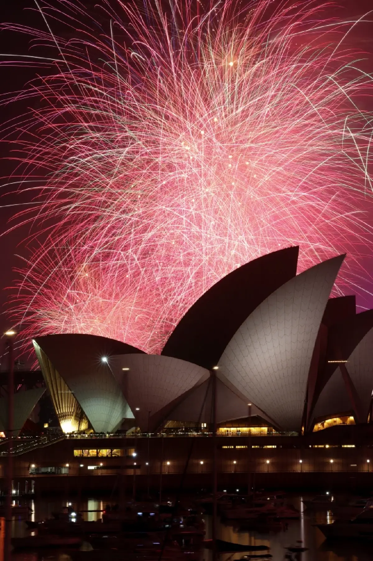 ปีใหม่เริ่มแล้ว ! ซิดนีย์ต้อนรับปี 2026 สุดยิ่งใหญ่ พลุ 4 หมื่นนัด ตระการตา