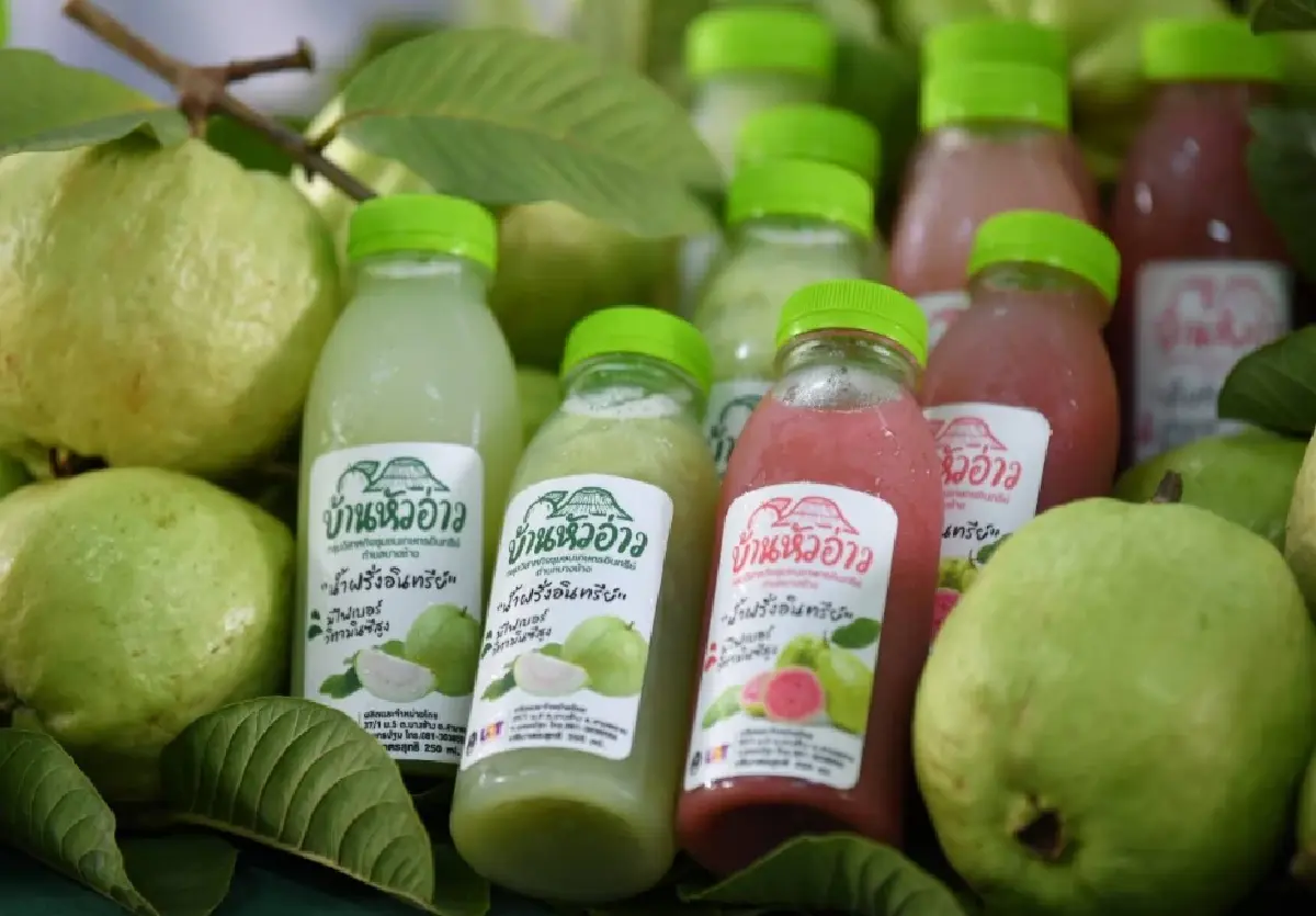 “ฝรั่งสามพราน” GI หนึ่งเดียวของไทย ทำรายได้ปีละกว่า 350 ล้านบาท