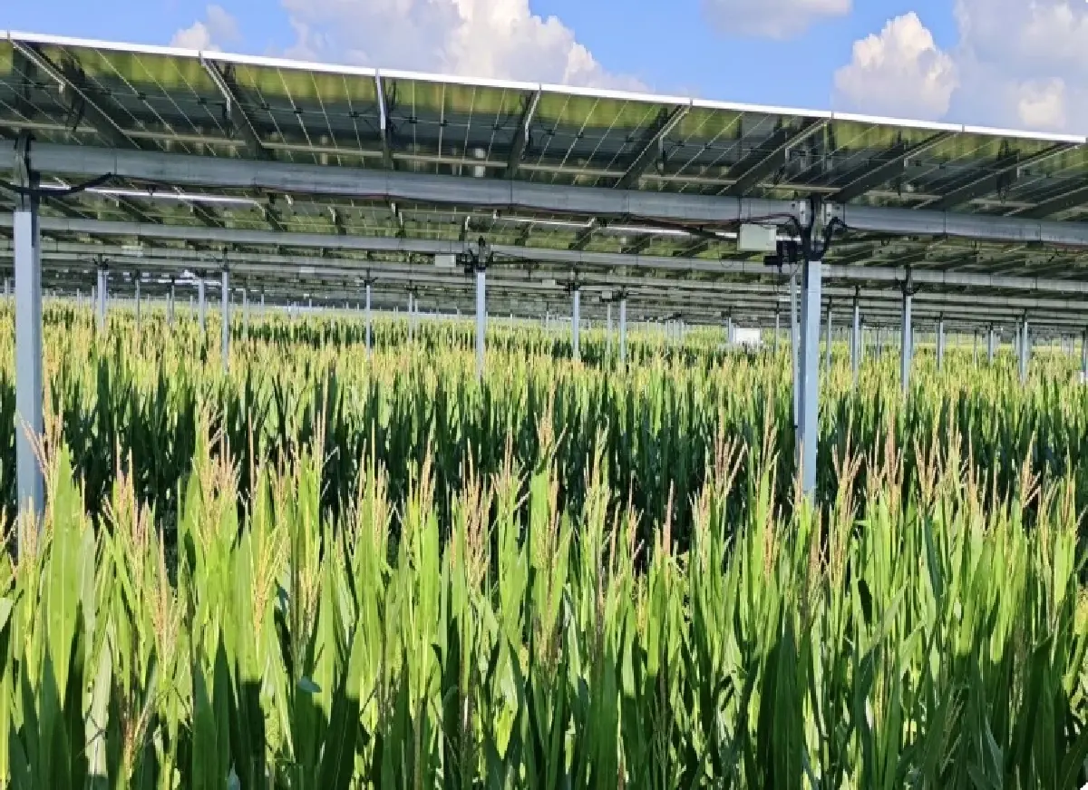 ทรินาโซลาร์ชี้ 5 นวัตกรรมโซลาร์ พลิกโฉมพลังงานไทยสู่จุดเปลี่ยนปี 2569