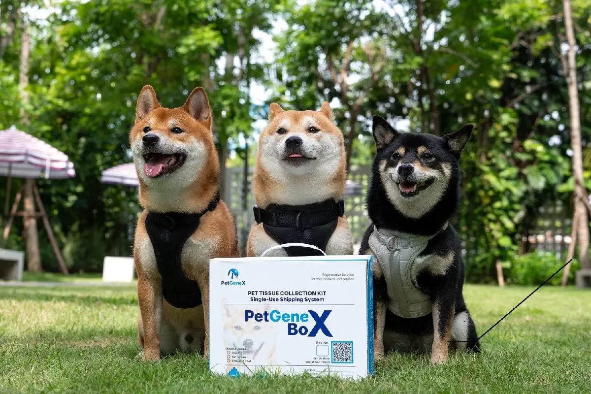 สตาร์ทอัปผู้ชนะซีซั่น 3