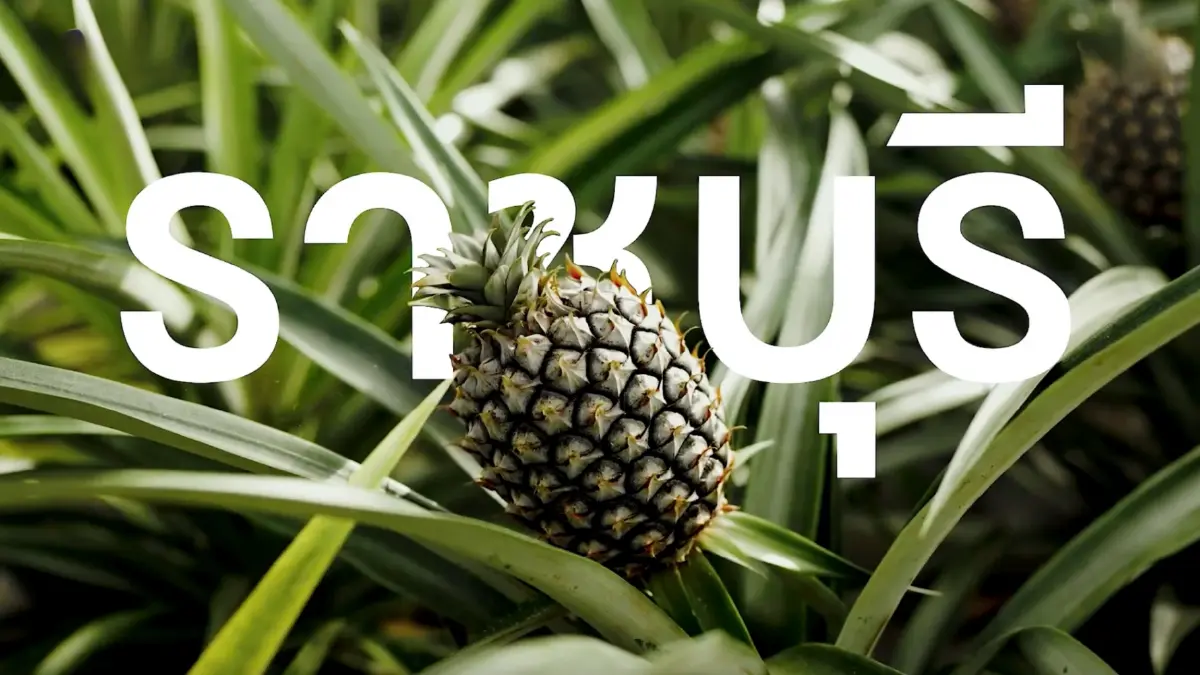 ‘Sure Juice’ น้ำสับปะรดพรีเมียมส่งตรงจาก ‘ราชบุรี’ พลิกภาวะล้นตลาด สู่การเพิ่มมูลค่า 7,000%