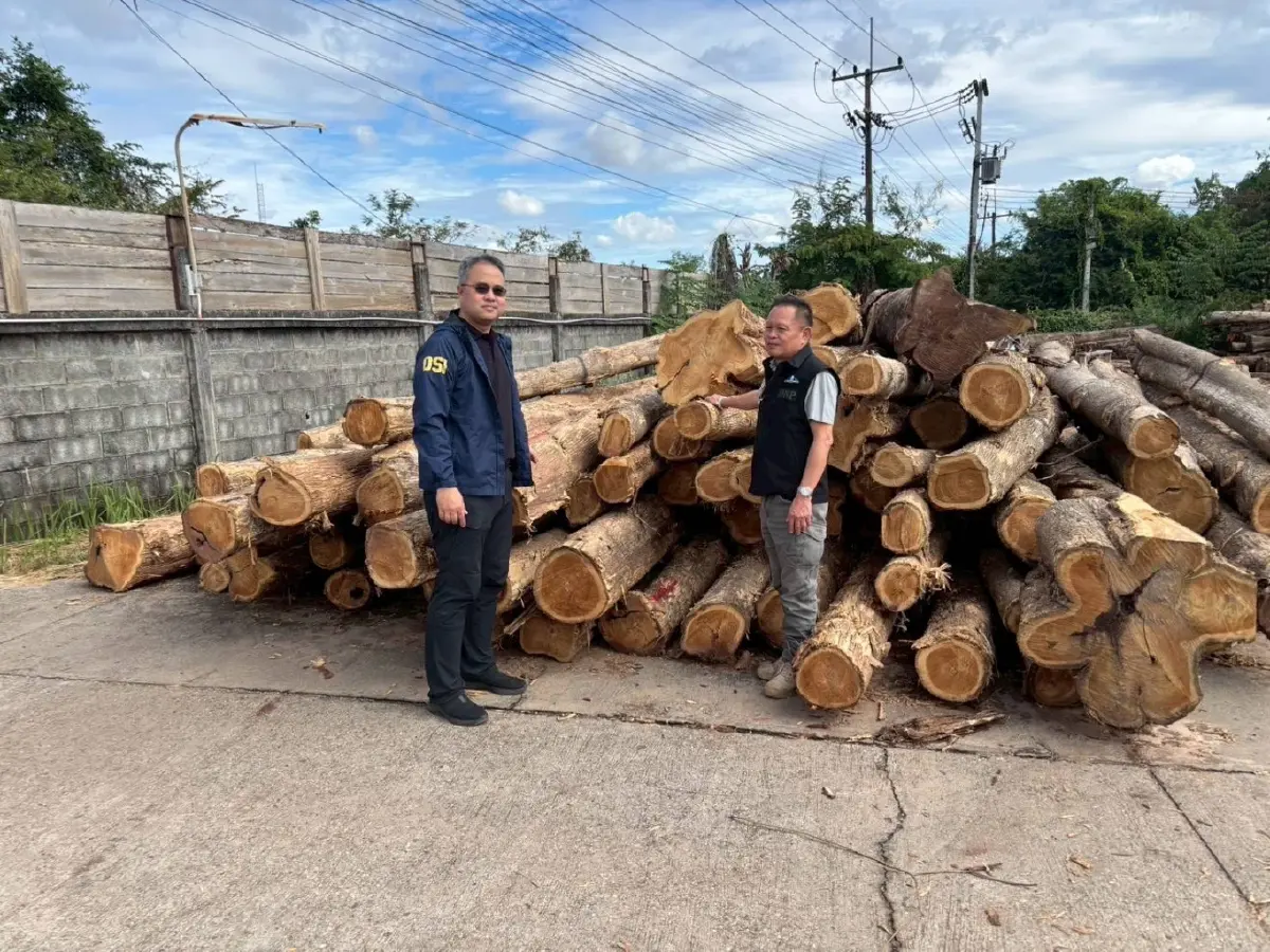 ฝยึดไม้เถื่อน! นายทุนจีน พบ ลักลอบตัดจากเขตอุทยาน มูลค่ารวม 300 ล้าน