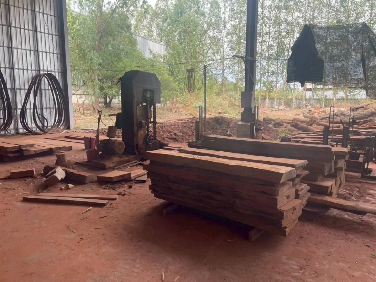 ยึดไม้เถื่อน! นายทุนจีน พบ ลักลอบตัดจากเขตอุทยาน มูลค่ารวม 300 ล้าน