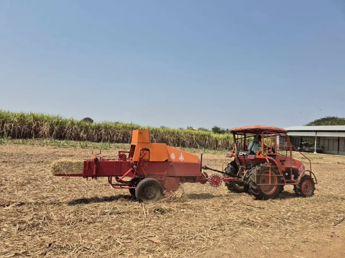 กรมควบคุมมลพิษ คุมเข้มโรงงานน้ำตาล–โรงไฟฟ้าชีวมวล ลดฝุ่น รับมือหมอกควันปี 69
