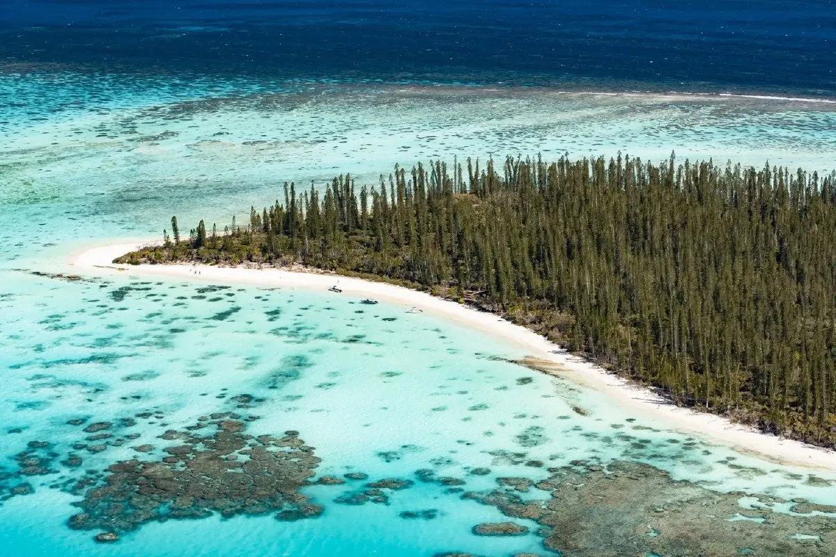 แอร์คาลินรุกหนัก! เพิ่มบิน 3 เที่ยว/สัปดาห์ ดันไทยฮับเชื่อมยุโรป-แปซิฟิก