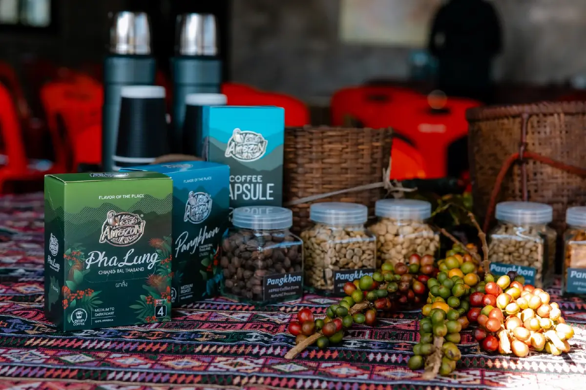 กาแฟเปลี่ยนชีวิต OR จับมือปางขอน–ผาลั้ง ปั้นต้นแบบกาแฟยั่งยืนของไทย