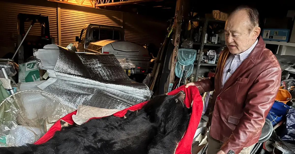 ชาวญี่ปุ่นที่ถูกหมีรุกราน