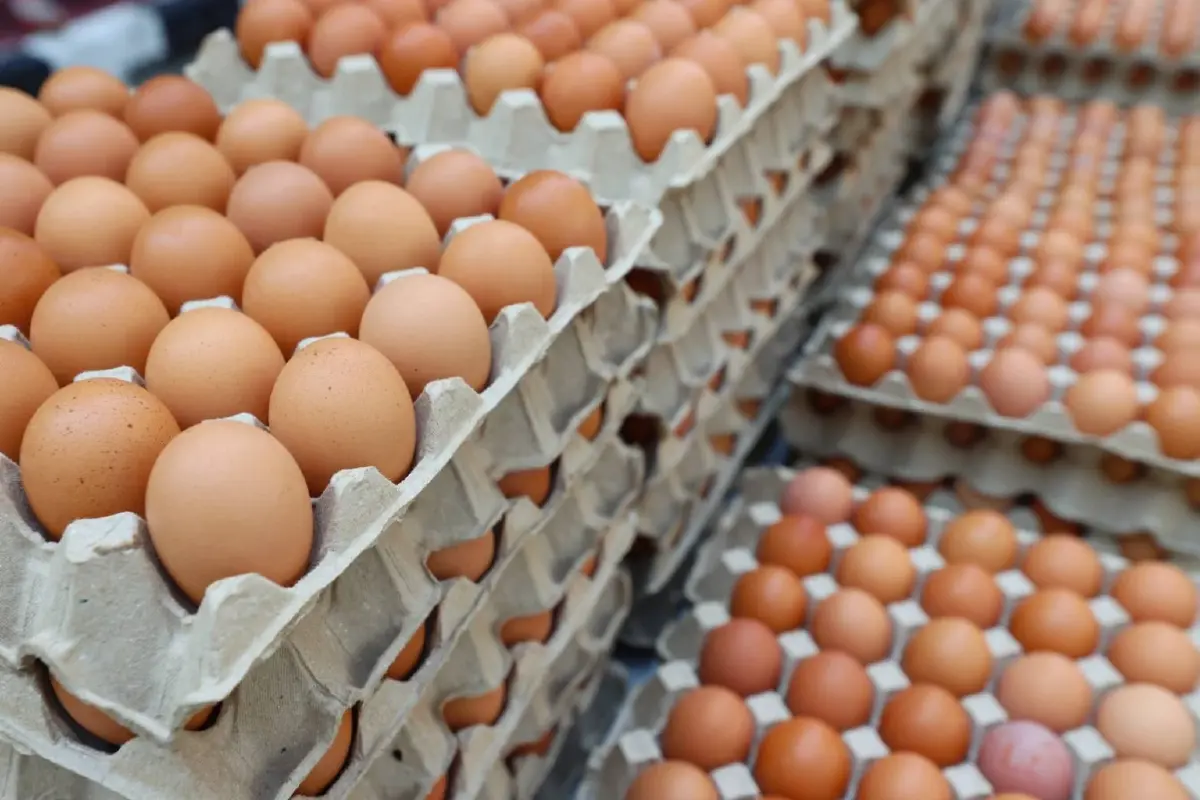 "มูลนิธิเนชั่น-ซีพีเอฟ" จับมือร่วมภารกิจส่งอาหาร-กำลังใจให้ประชาชน