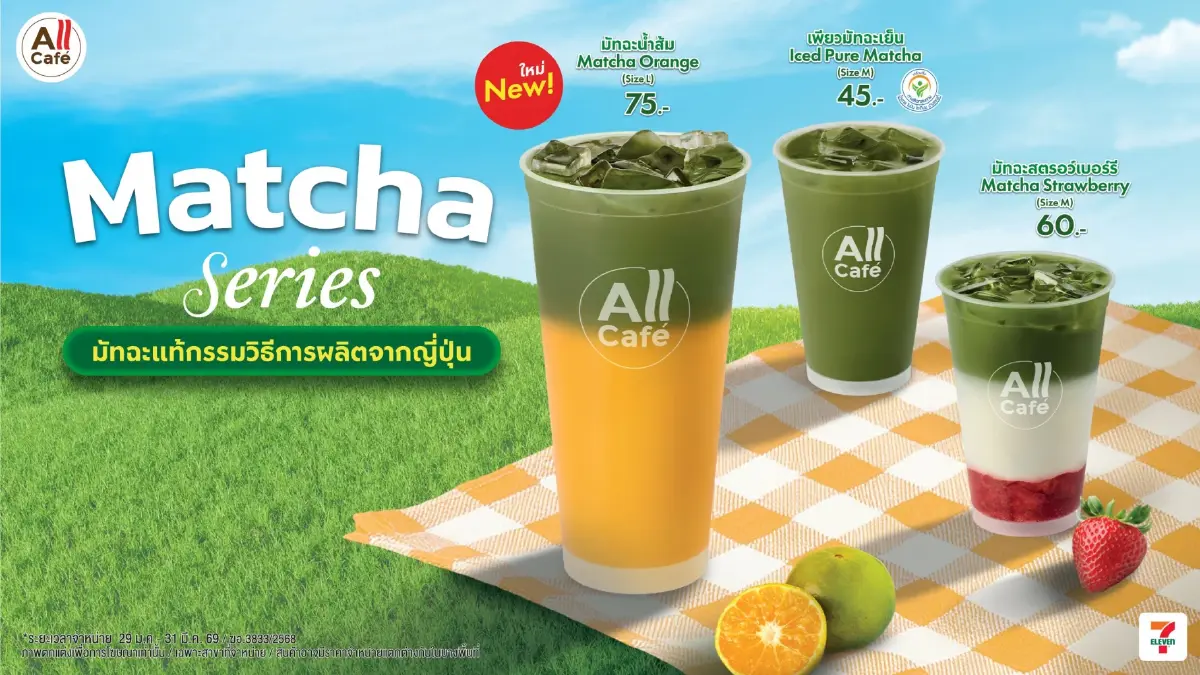 All Café Matcha Series