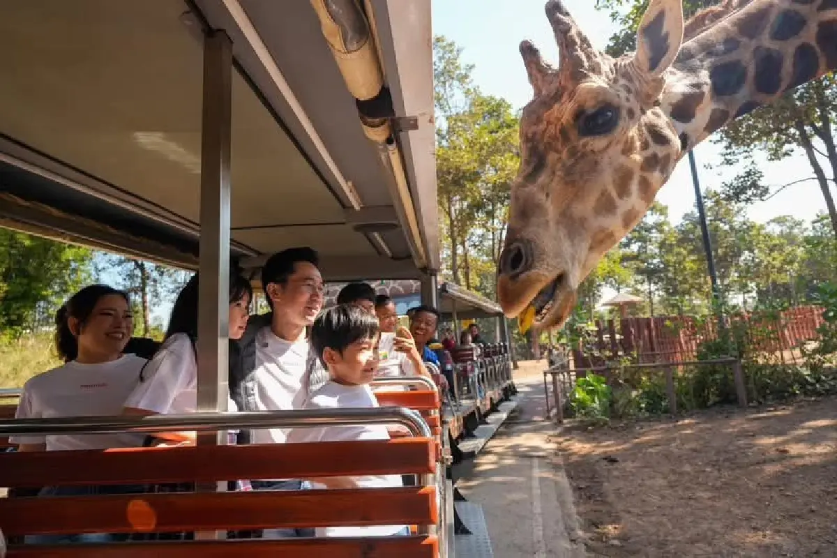 "ยศชนัน วงศ์สวัสดิ์" พาครอบครัวเที่ยวไนท์ซาฟารี เชียงใหม่