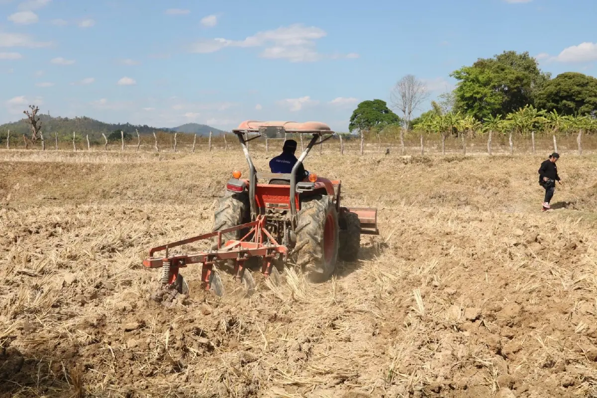 เกษตรฯ ตั้ง 30 จุด เพิ่มมูลค่าวัสดุเหลือใช้ทางการเกษตร ลดเผาเพิ่มเงิน !