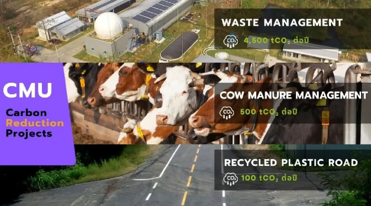 CMU Carbon One เมื่อมหาวิทยาลัยกลายเป็นสนามทดลองของโลกคาร์บอนต่ำ