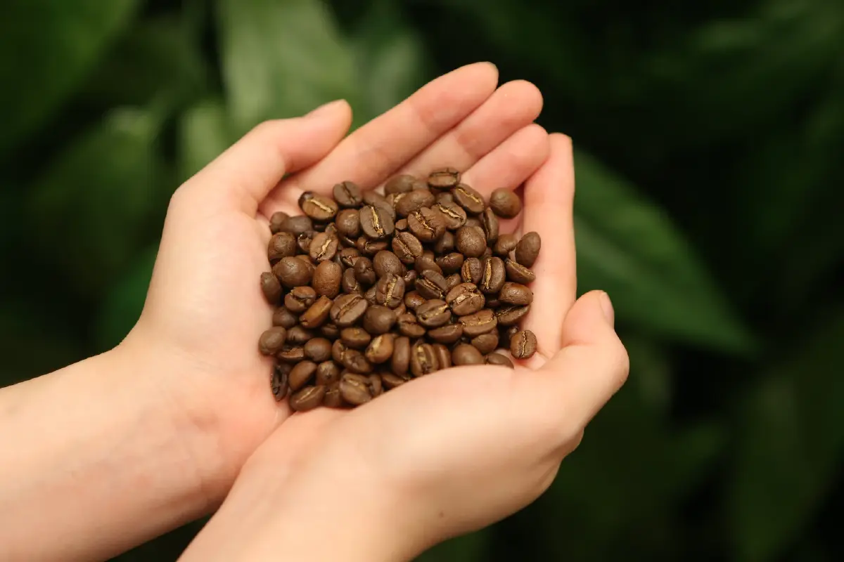 ZUS COFFEE รุกไทย! ปักหมุด 50 สาขาปี 69 ชูเทคโนโลยีนำธุรกิจ