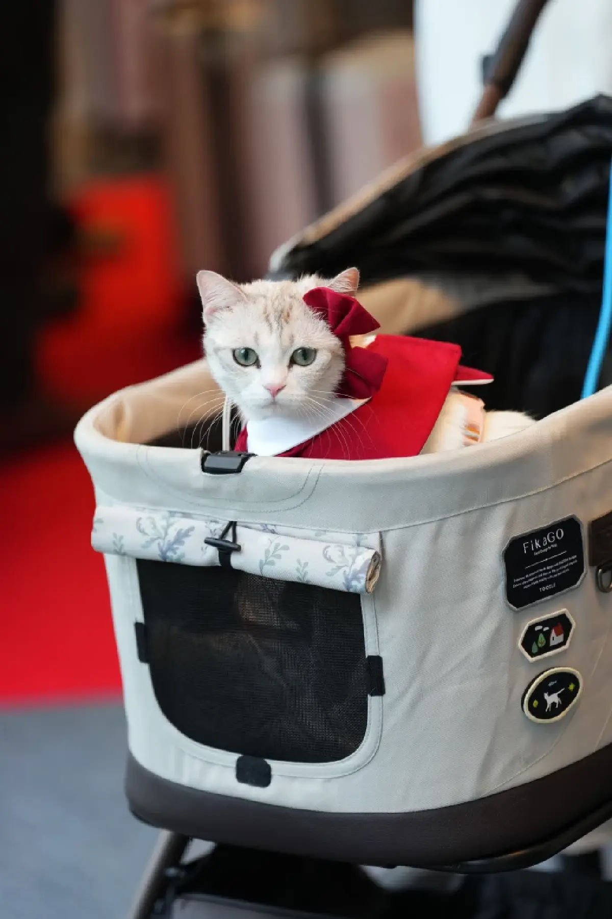 ภูมิ จิราธิวัฒน์ ปั้น GO Hotel เป็น National Hotel Chain ขยาย 5 สาขา/ปี