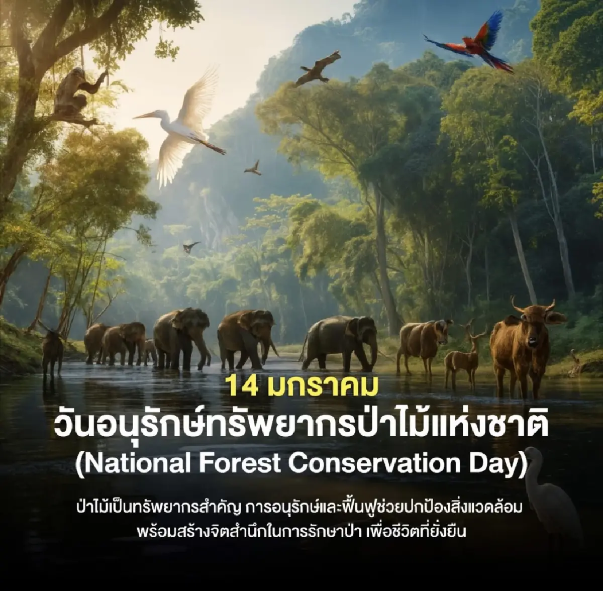 14 มกราคม “วันอนุรักษ์ทรัพยากรป่าไม้แห่งชาติ” พื้นที่ป่าไม้ไทยยังคงลดลง