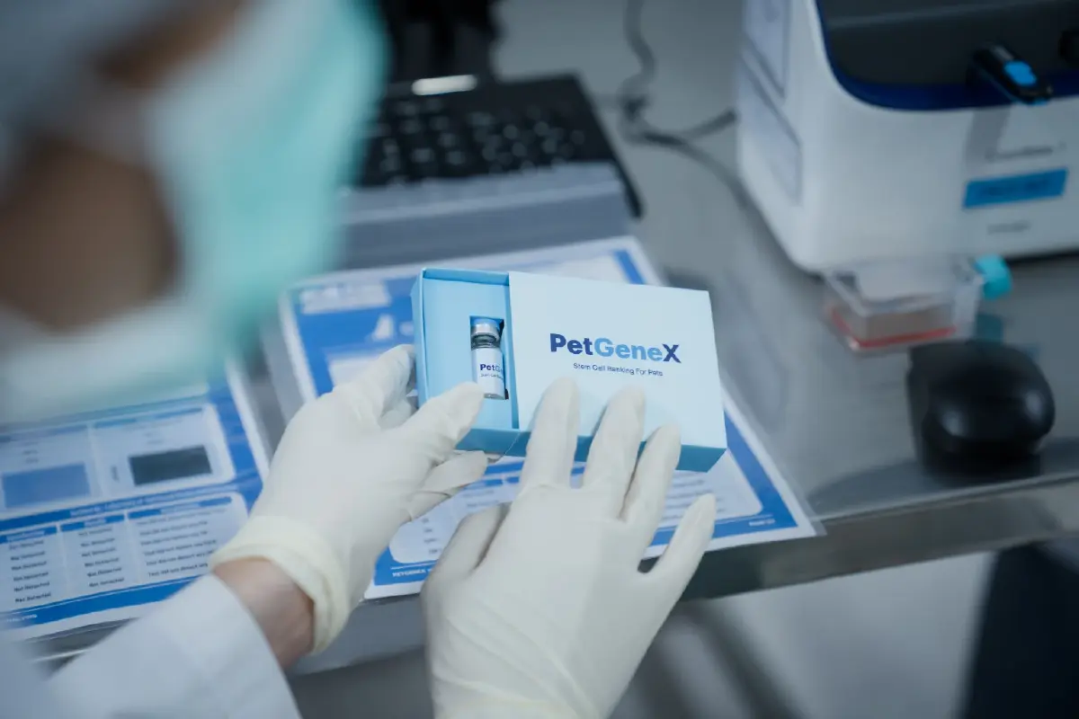 Pet Parenting ดันตลาดสัตว์เลี้ยงพุ่ง เคทีซี–PetGeneX เปิดยุคสเต็มเซลล์ไทย