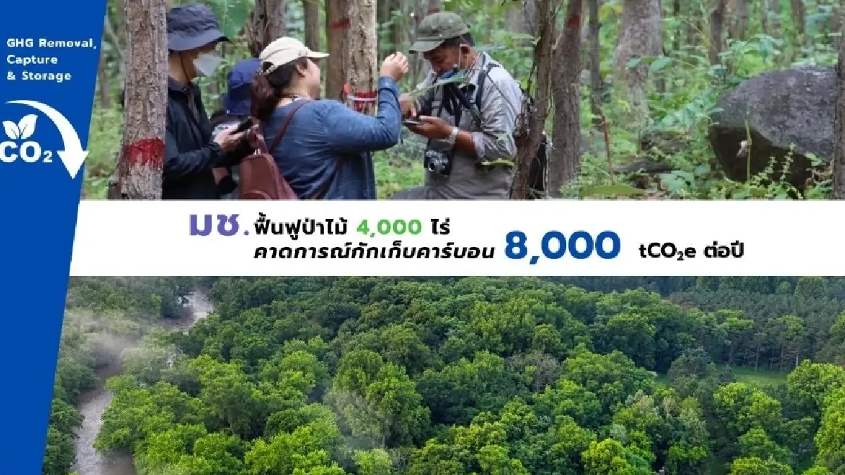 CMU Carbon One เมื่อมหาวิทยาลัยกลายเป็นสนามทดลองของโลกคาร์บอนต่ำ