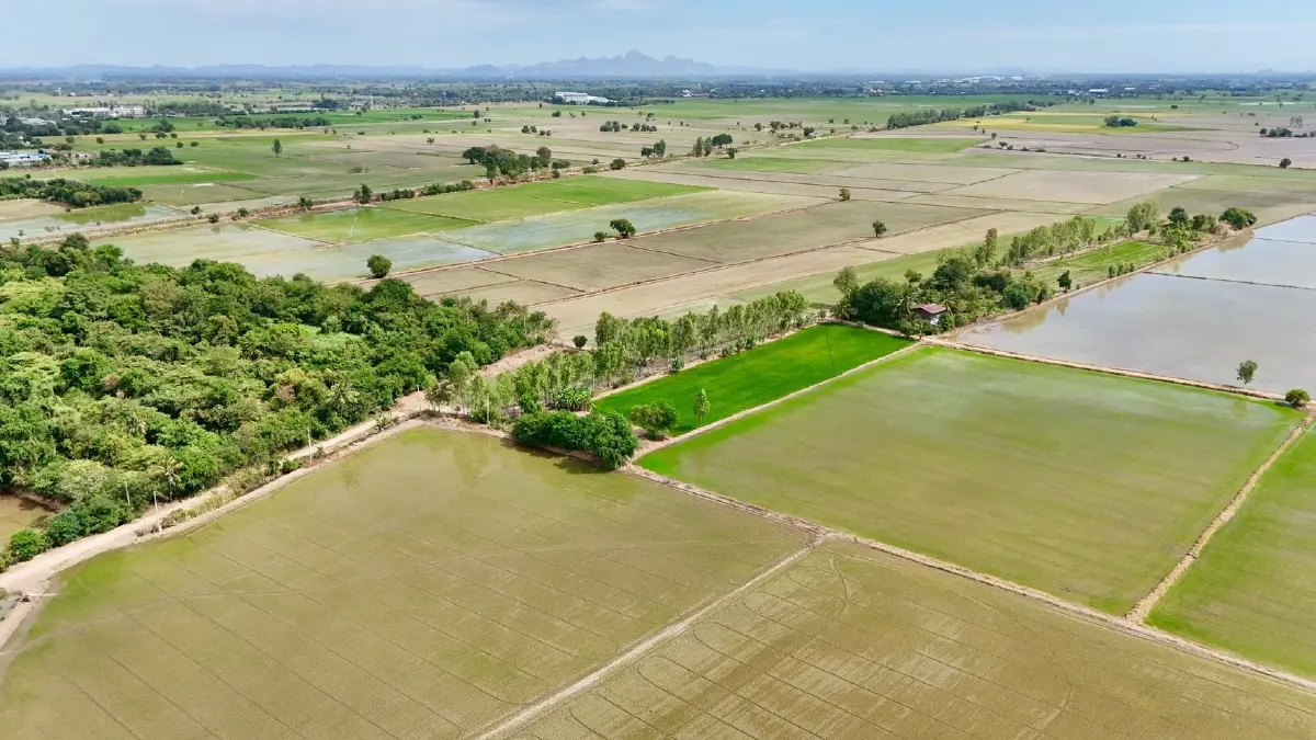 กรมชลฯ เดินหน้าส่งน้ำฤดูแล้งตามแผน ทุกภาคส่วนมีน้ำกินน้ำใช้เพียงพอ