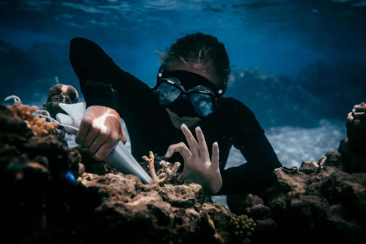 รู้จัก ‘Regeneracation’ แนวคิดการท่องเที่ยวสุดเท่ห์! ดีต่อโลกที่ไม่ใช่แค่ปลูกป่า!