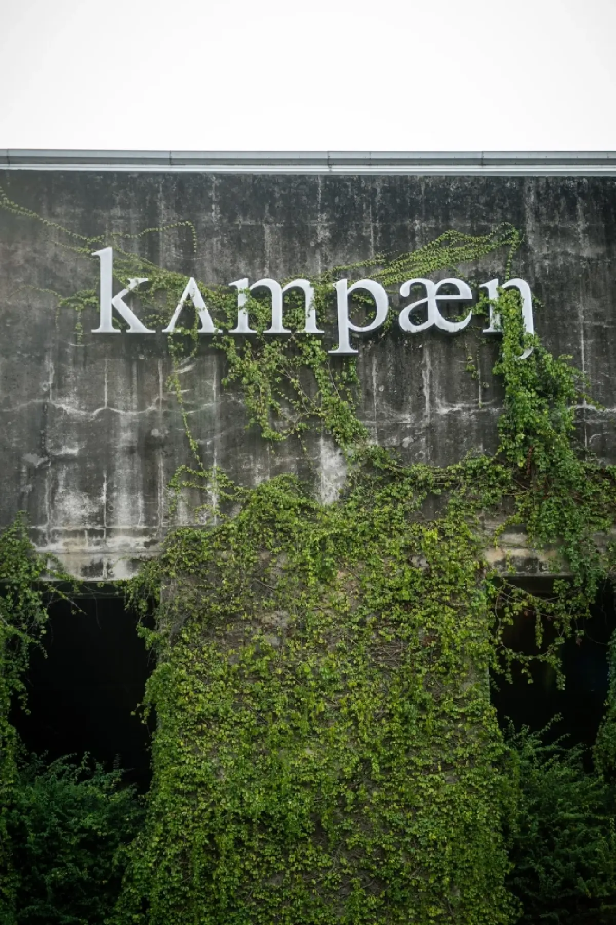 PASAYA ทุ่ม 150 ล้าน พลิกโฉมโรงงานราชบุรี ใช้พลังงานสะอาด 100%