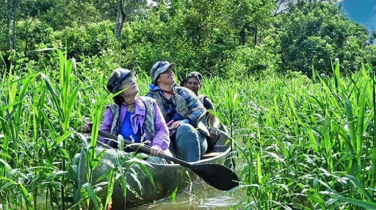 รู้จัก ‘Regeneracation’ แนวคิดการท่องเที่ยวสุดเท่ห์! ดีต่อโลกที่ไม่ใช่แค่ปลูกป่า!