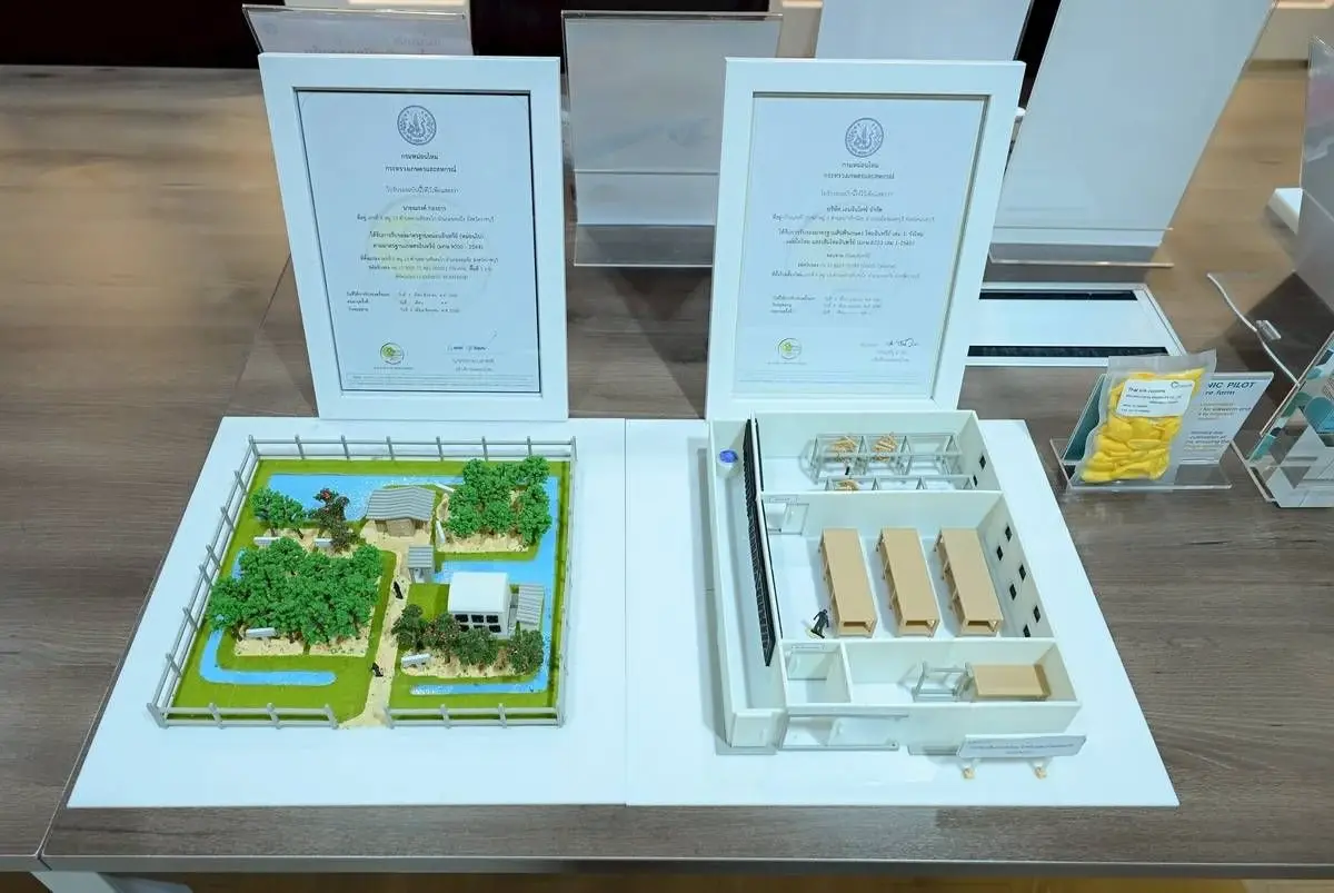 จุฬาฯ เปิดมิติใหม่ยกระดับ "ไหมไทย" สู่วัสดุการแพทย์ "เจลฉีดข้อ"