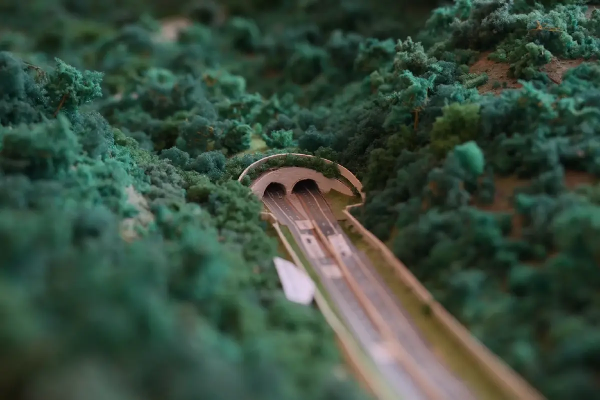 คืนชีวิตผืนป่ามรดกโลก! อุโมงค์ ทล.304 พบสัตว์ป่าเพิ่ม 16 ชนิด