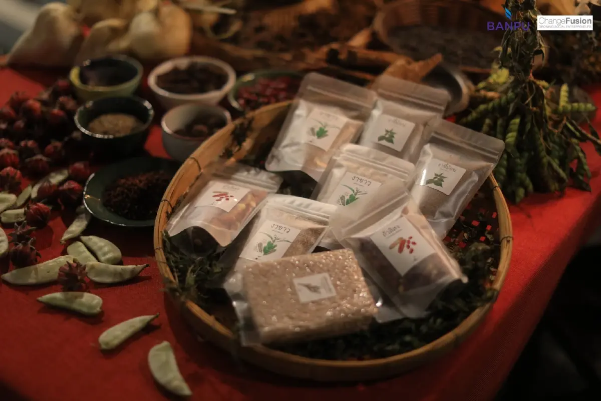 Seeds Journey จากอาหารอาข่า สู่กิจการเพื่อสังคม โมเดลสร้างรายได้ให้ชุมชน