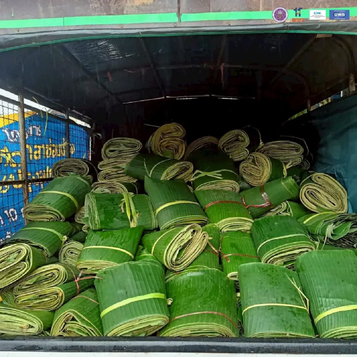 เรื่องกล้วยๆ เมื่อ “ใบตอง คือ ใบเงิน” ตู้ ATM หน้าบ้านของชาวนครพนม