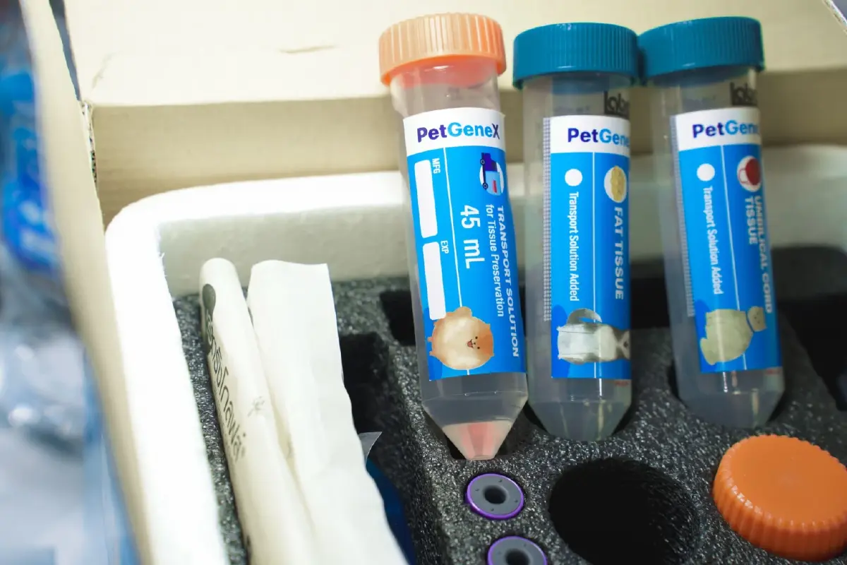 PetGeneX ธนาคารสเต็มเซลล์สัตว์เลี้ยงจากเลือดรายแรกของไทย!