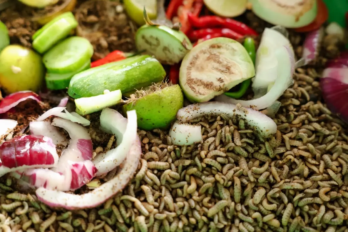 ซีพี แอ็กซ์ตร้า โชว์ศักยภาพจัดการขยะอาหารบนเวทีระดับภูมิภาค 2026