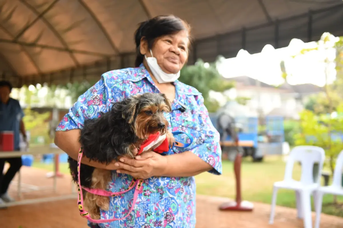 กทม.รุกหมู่บ้านชัยพฤกษ์ ฝังชิป-จดทะเบียนหมาแมว 97 ตัว ฟรี!