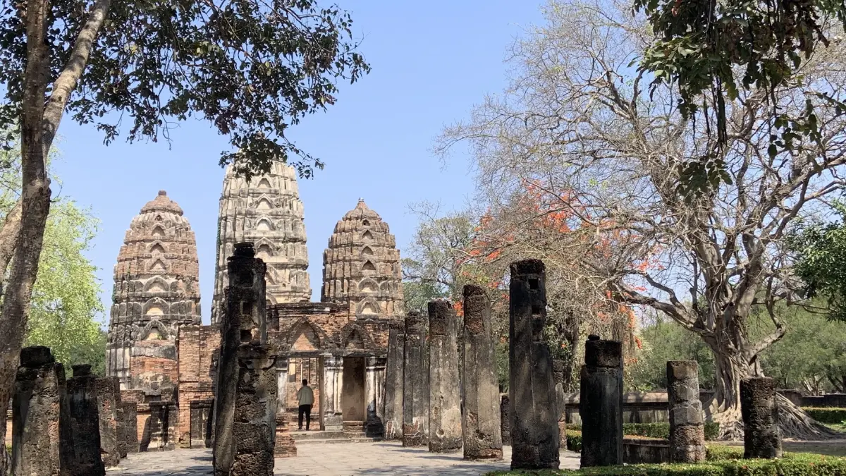 วัดศรีสวาย ภายในเมืองเก่าสุโขทัยที่ยังเต็มไปด้วยต้นมะม่วง (สวาย-แปลว่ามะม่วง) และพันธฺุ์ไม้โบราณต่างๆ 