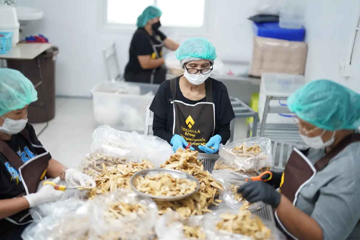 กล้วยสมุทรสงคราม พลิกกล้วยไร้มูลค่า สู่รายได้วันละ 7,000 บาท