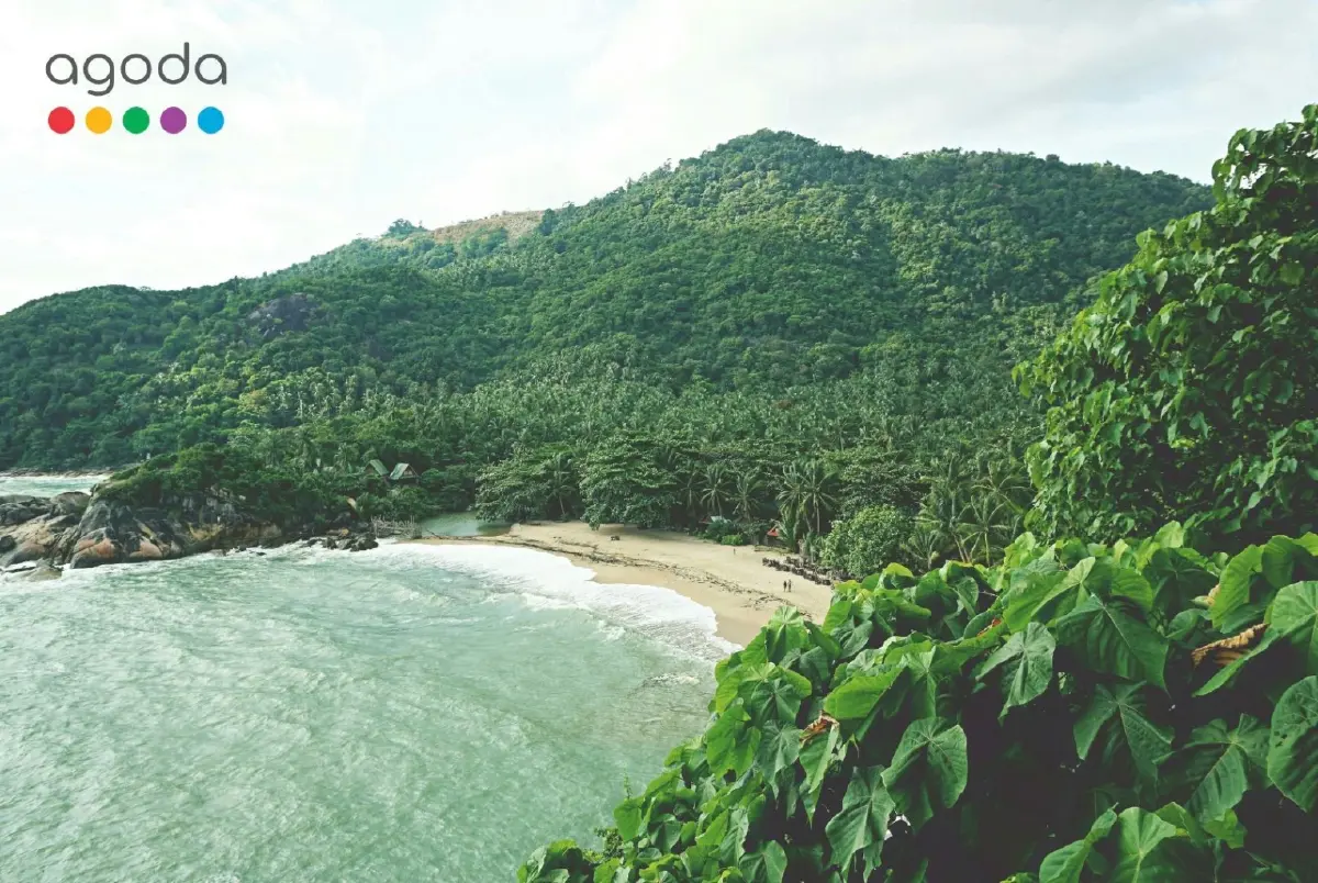 สุราษฎร์ฯ มาแรง! ยอดค้นหาพุ่ง 10 เท่า ที่เที่ยววาเลนไทน์ 2569