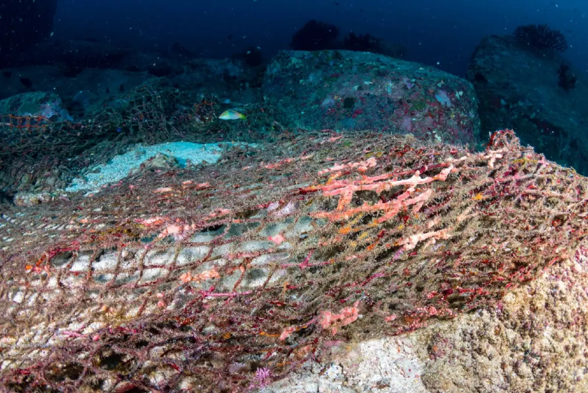 จุฬาฯ รีไซเคิลอวนผีสู่ฟิลาเมนต์ 3D สร้างนวัตกรรมสีเขียว