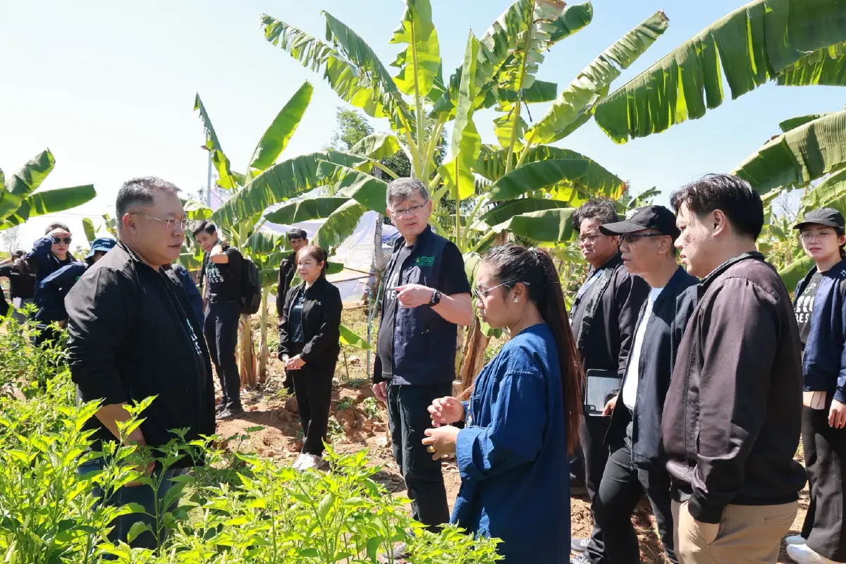 ชุมชนบ้านสุขเจริญ นครพนม ชู IoT Smart Farm หนุนผลผลิตกล้วยขายทั้งปี