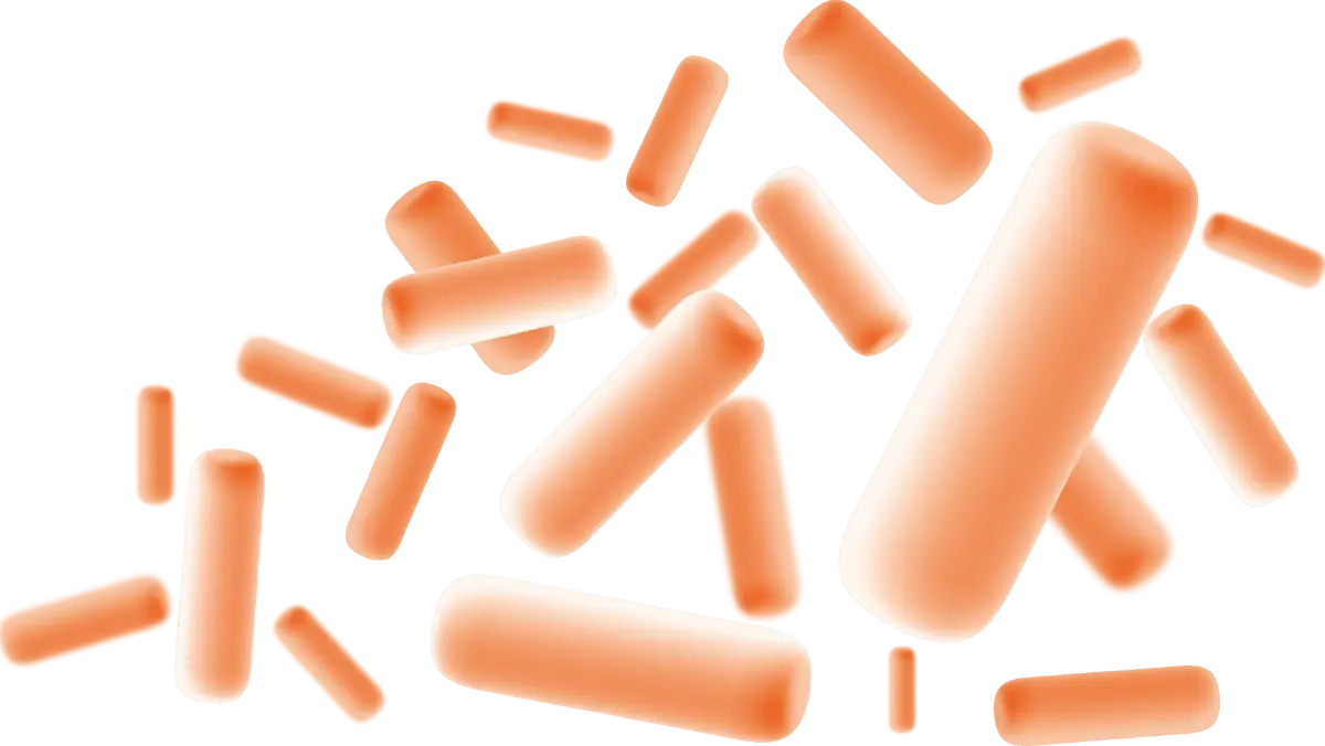 ภาพจำลอง โพรไบโอติกแลคโตบาซิลัส แรมโนซัส แอล34